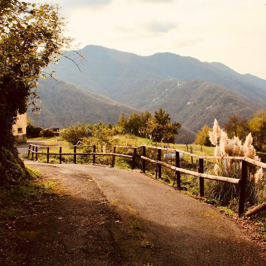 Locanda Del Sale Affittacamere Soglio  Dış mekan fotoğraf