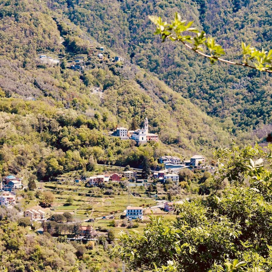 Locanda Del Sale Affittacamere Soglio  Dış mekan fotoğraf
