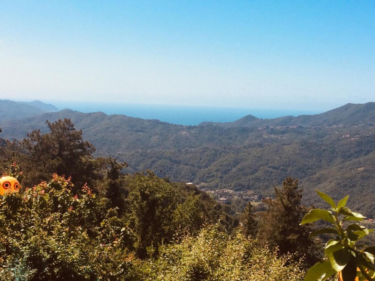 Locanda Del Sale Affittacamere Soglio  Dış mekan fotoğraf