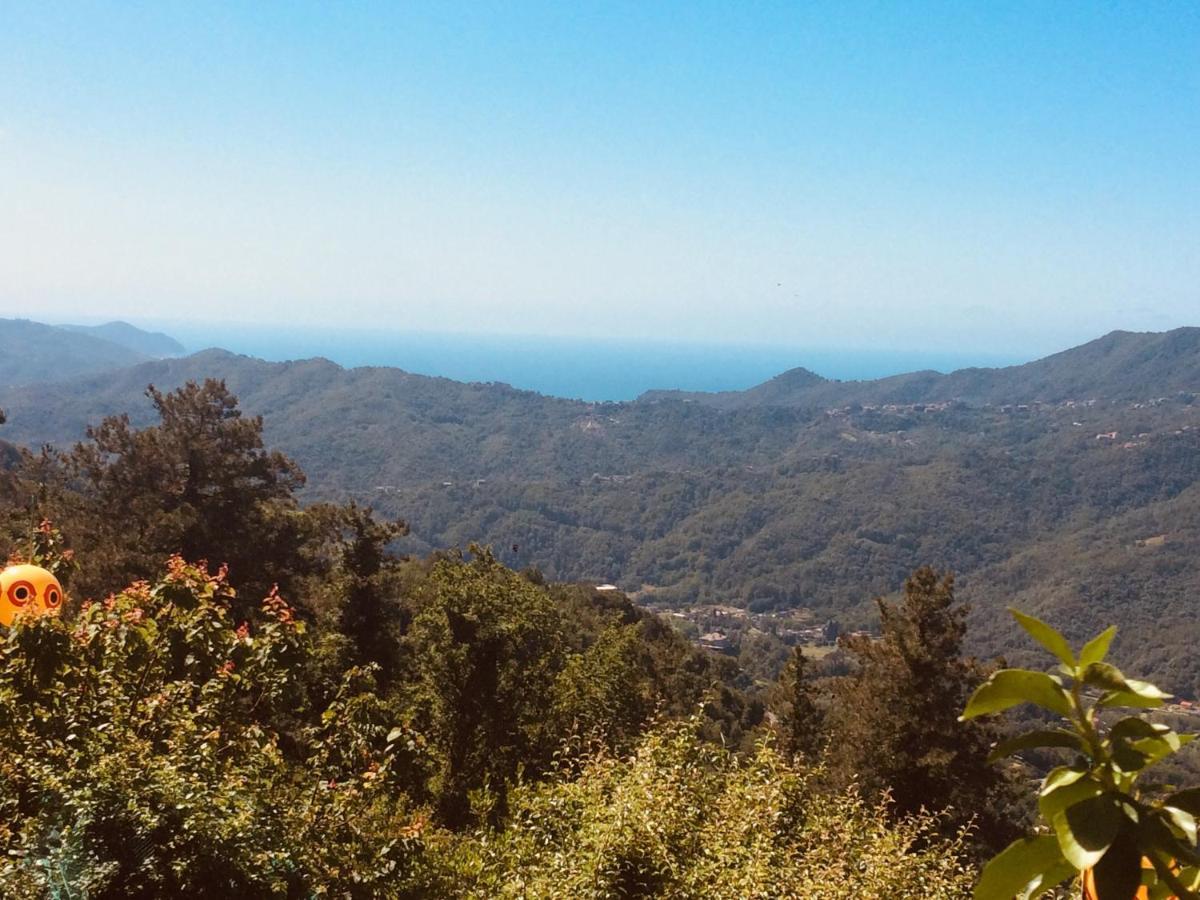 Locanda Del Sale Cenova Dış mekan fotoğraf