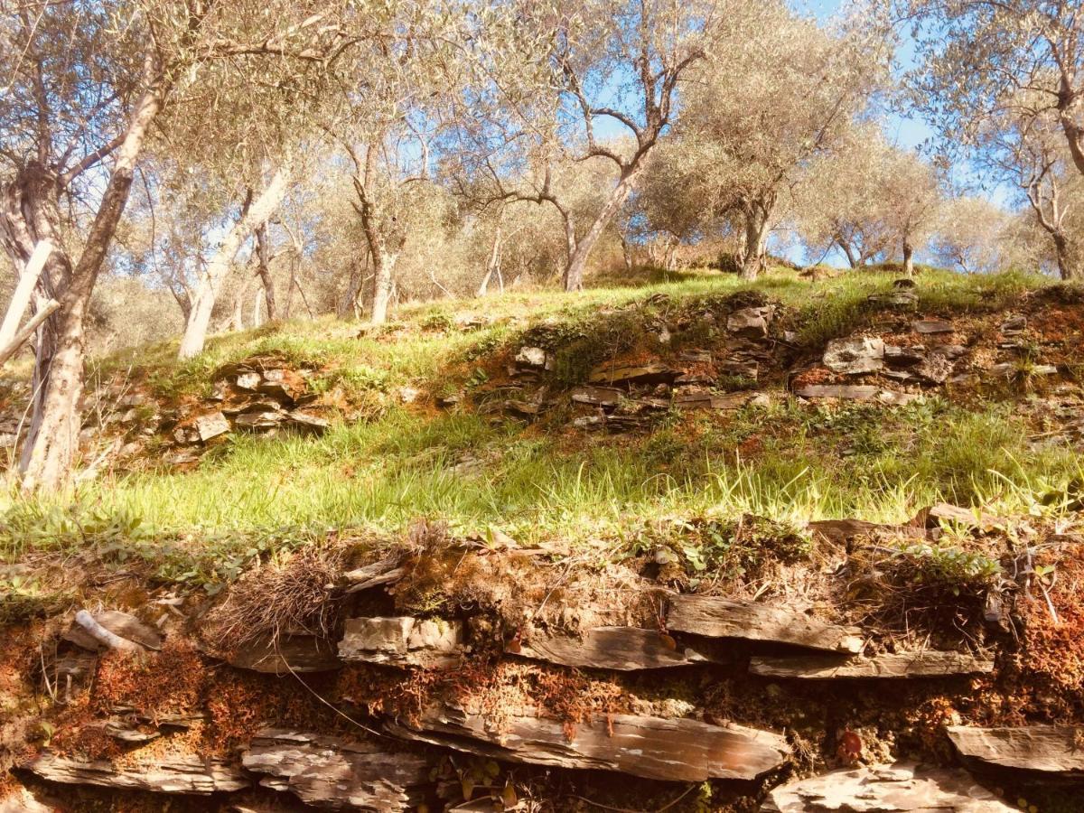 Locanda Del Sale Affittacamere Soglio  Dış mekan fotoğraf